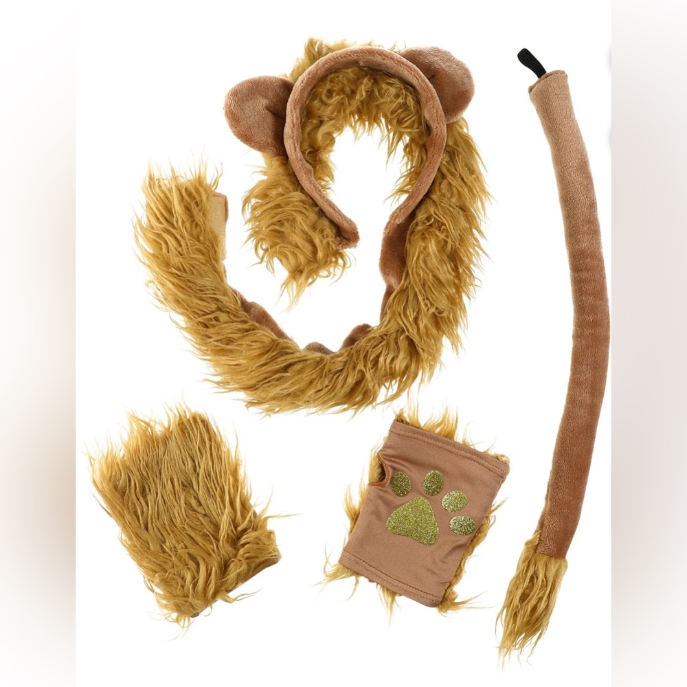 Lion Costume